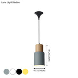 Simple Nordic Pendant Light For Restaurants & Coffee Shops - Modern And Creative Design