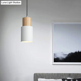 Simple Nordic Pendant Light For Restaurants & Coffee Shops - Modern And Creative Design