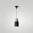 Simple Nordic Pendant Light For Restaurants & Coffee Shops - Modern And Creative Design Black / 4