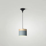 Simple Nordic Pendant Light For Restaurants & Coffee Shops - Modern And Creative Design Grey / 5
