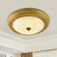Simple Wooden Led Flushmount Ceiling Light With Dome Glass Shade - Yellow - Brown Circle