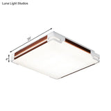 Simplicity Thin Acrylic Ceiling Light - Led Brown Flushmount (20.5’/25’/35’ Wide)