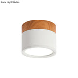 Small Macaron Metal Flush Mount Ceiling Light For Kitchen Bar - Yellow/Blue/Black & Wood