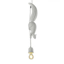 Squirrel And Pinecone Pendant Lamp: Resin Hanging Light Fixture - 1 Head Dining Room Decor White