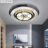 Stainless Steel Led Crystal Ceiling Lamp With Modern Design And Pattern Options