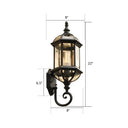 Vintage Birdcage Wall Sconce With Clear Glass Shade - Single-Bulb Garden Light Fixture Black / 8
