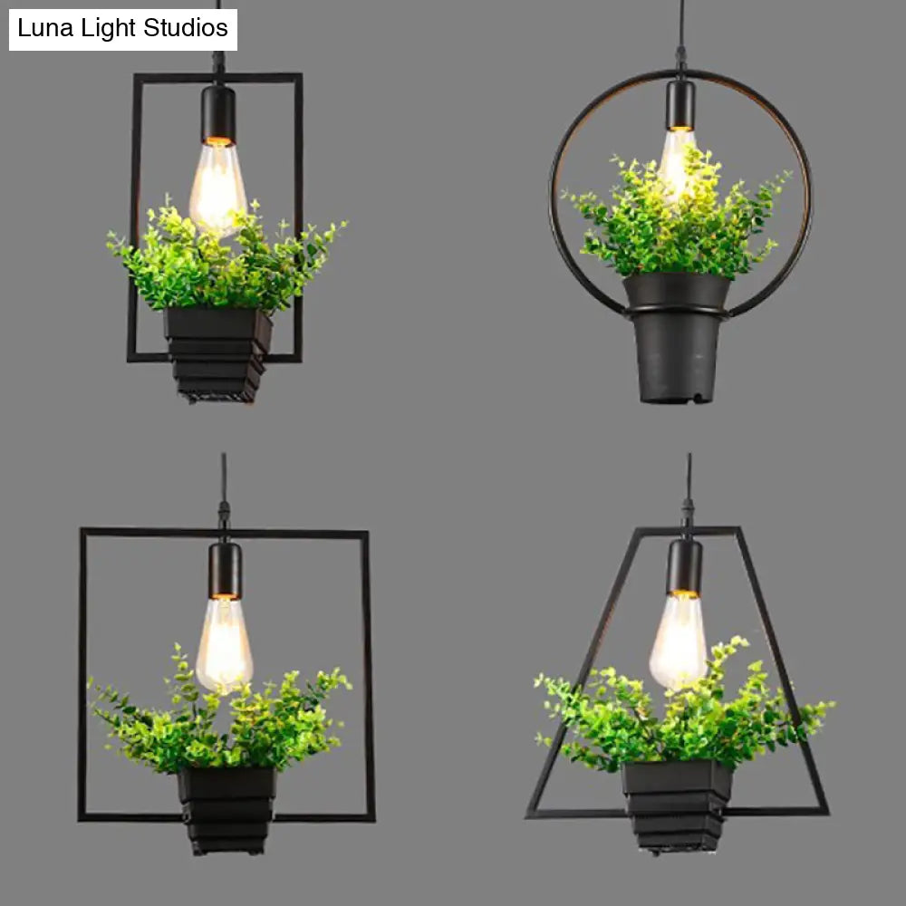 Vintage Black Metal Pendant Light With Planter And Frame For Kitchen