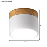 White Acrylic Led Drum Ceiling Mount Light For Simple & Stylish Living Room Lighting