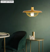 Wire Cage Down Lighting Pendant With Metal Shade - Modern Style Fixture