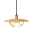 Wire Cage Down Lighting Pendant With Metal Shade - Modern Style Fixture Wood